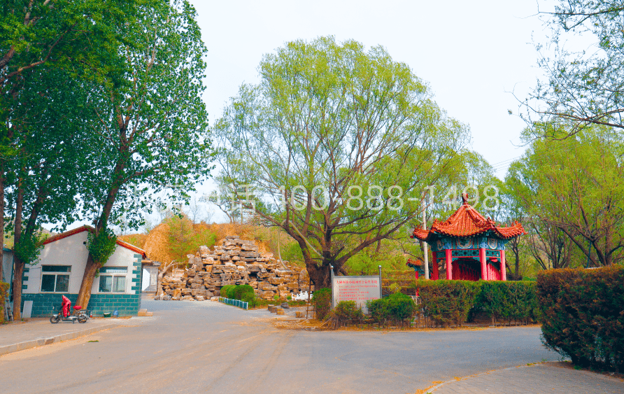 福安园公墓道路